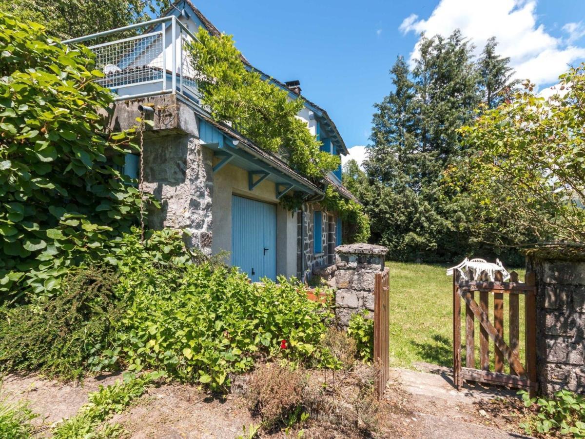 Beautiful Villa In The Parc Des Volcans D Auvergne Vic-sur-Cère Exterior foto