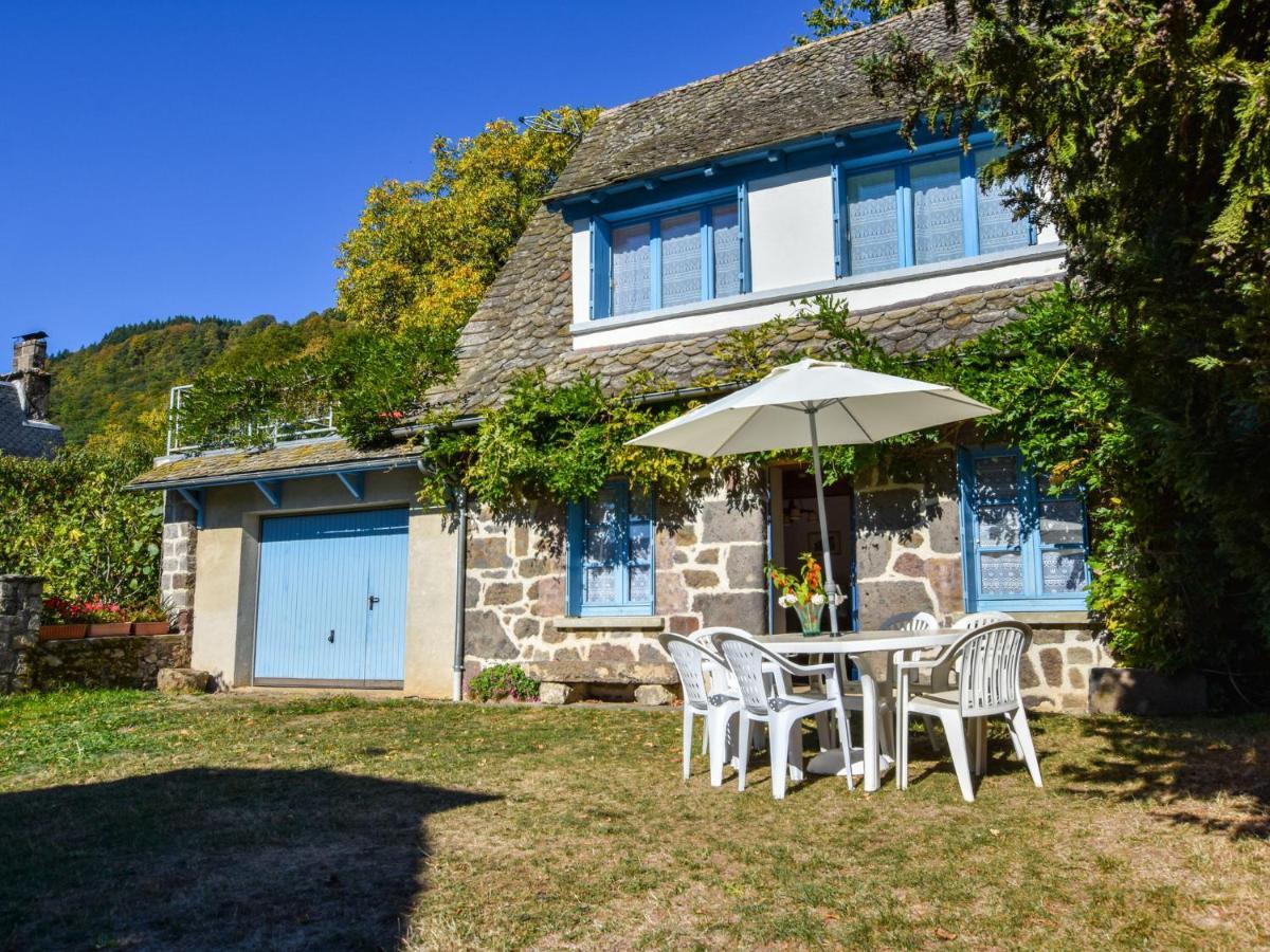 Beautiful Villa In The Parc Des Volcans D Auvergne Vic-sur-Cère Exterior foto